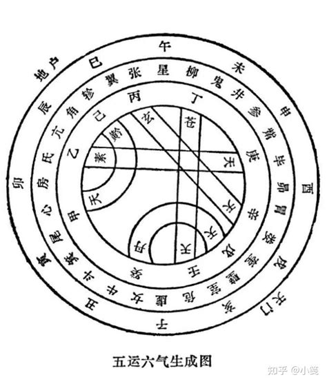 戊癸合化火意思